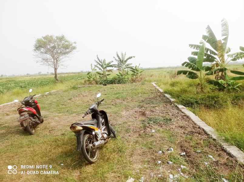 jual tanah kavling murah di sukatenang babelan bekasi