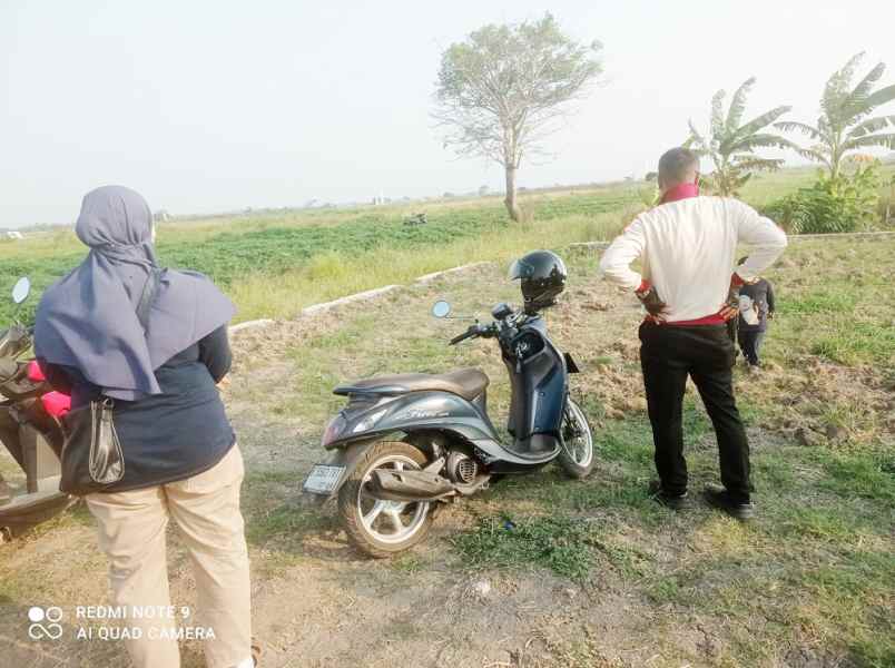 jual tanah kavling murah di sukatenang babelan bekasi