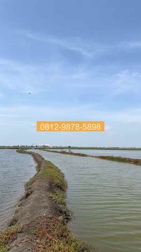 jual tanah lahan solokan pakis jaya karawang 5c63e8