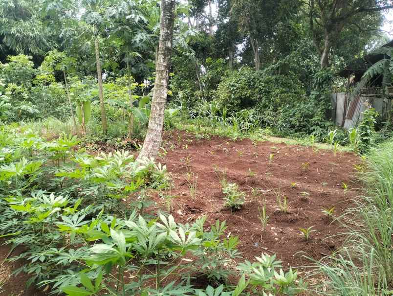 jual tanah nego halus