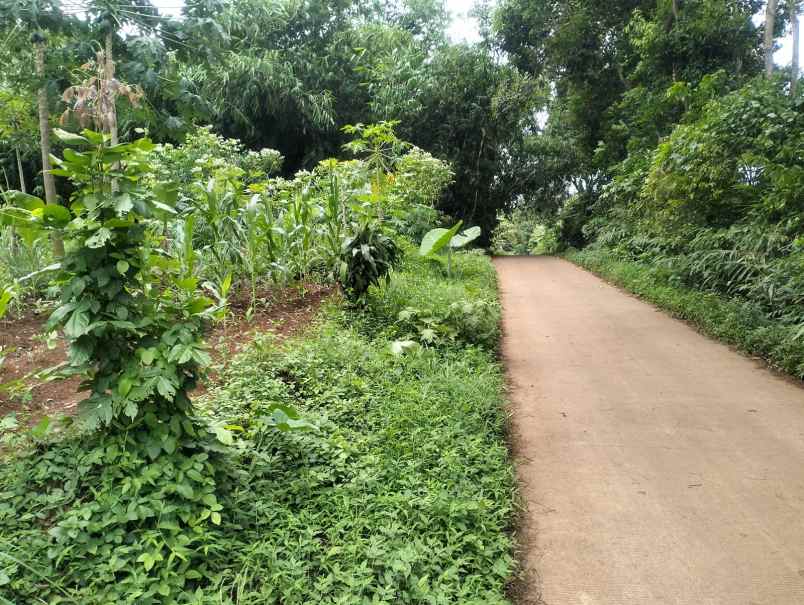 jual tanah nego halus