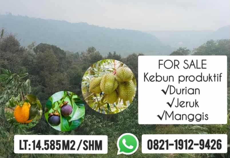kebun produktif cijambe subang jawa barat