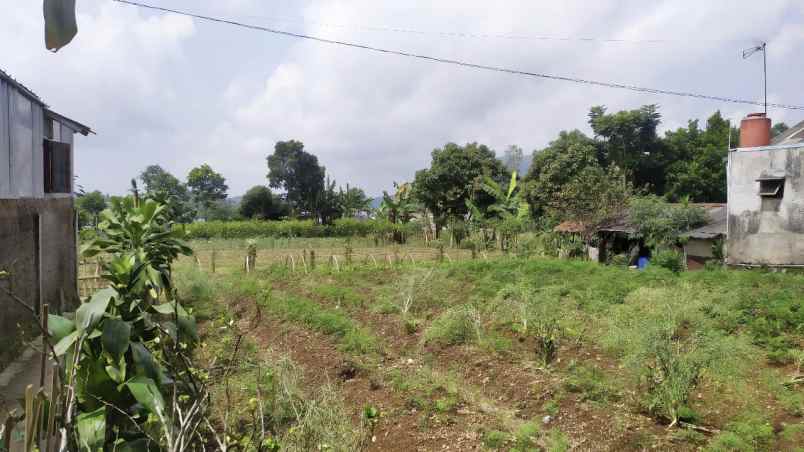 lahan kebun aktif siap bangun lokasi strategis