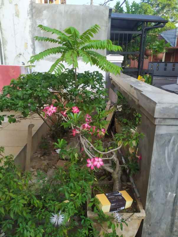 rumah graha bunga bintaro