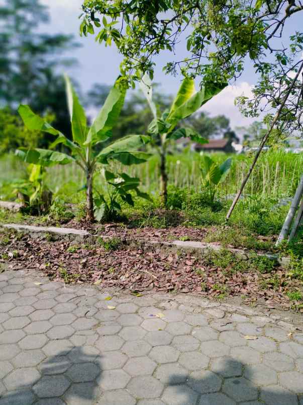 rumah murah tanah luas shm di tempel sleman