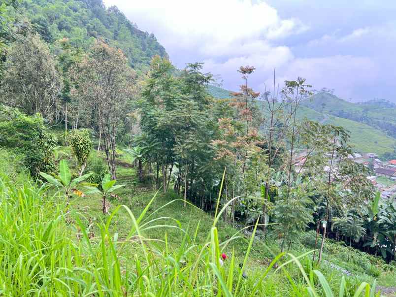 tanah 250 juta view cantik kota wisata kemuning