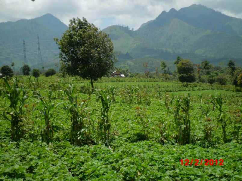 tanah banjaran arjasari