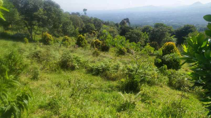 tanah best view gunung salak di cijeruk bogor