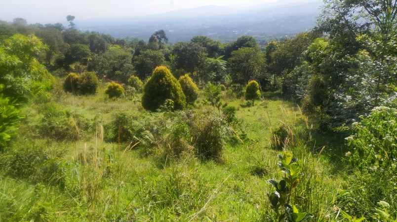 tanah best view gunung salak di cijeruk bogor