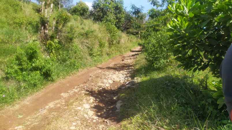 tanah best view gunung salak di cijeruk bogor