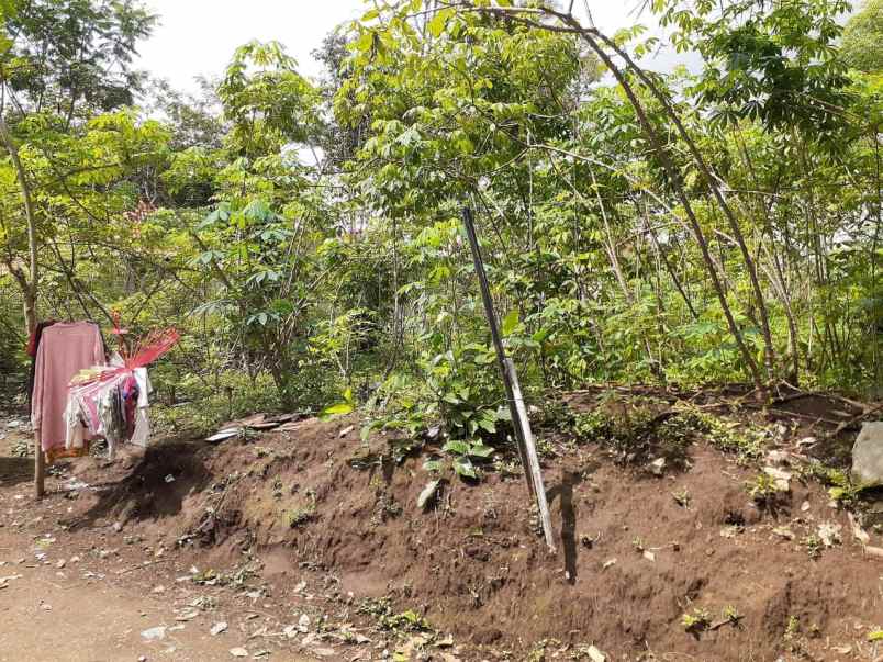 tanah buat usaha kost kostan di sci salatiga