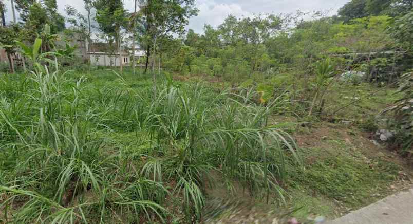 tanah buat usaha kost kostan di sci salatiga