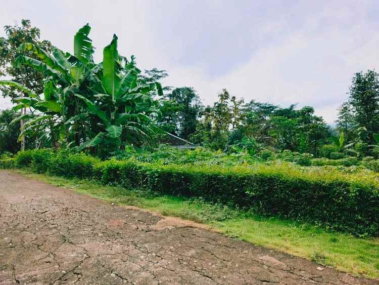 tanah cocok untuk hunian mojogedang karanganyar