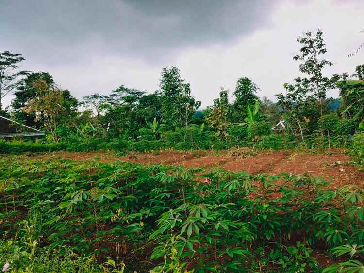 tanah cocok untuk hunian mojogedang karanganyar