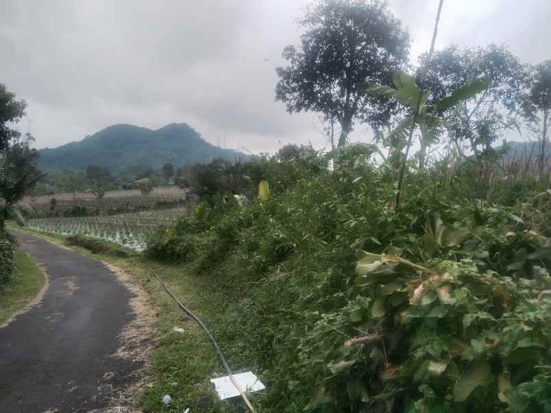 tanah daerah ciater subang jawa barat