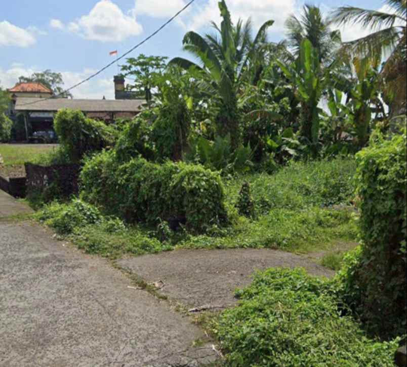 tanah di kedungu view sawah 15 menit dari canggu bali