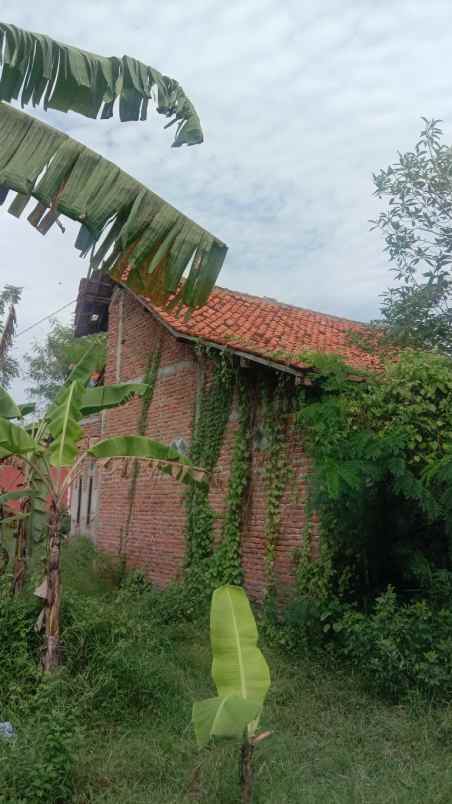 tanah jln masjid attaubah