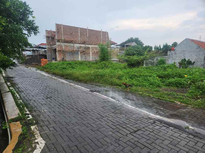 tanah karangrejo jatingaleh semarang