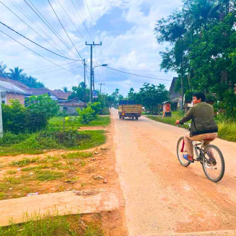 tanah kavling murah siap bangun talang betutu