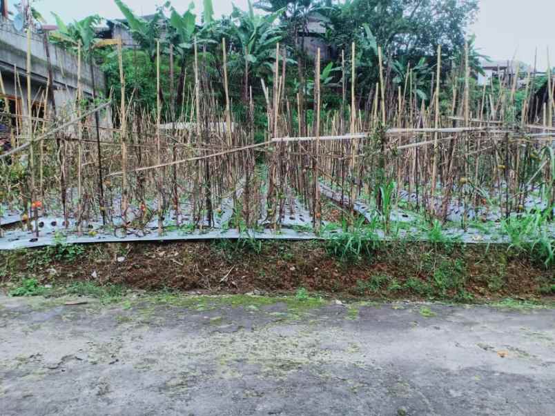 tanah kawasan villa kemuning karanganyar