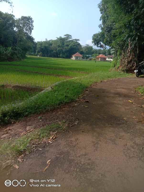 tanah kebun dan sawah pinggir jln desa