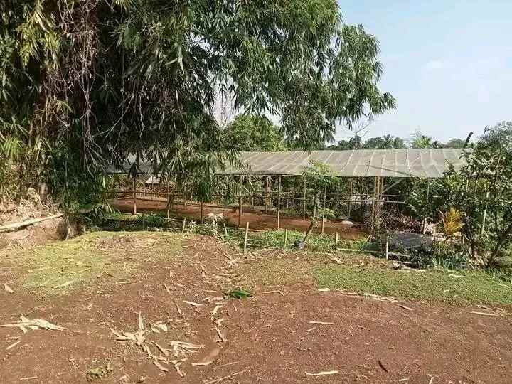 tanah kebun hidroponik investasi kebun sayuran bogor