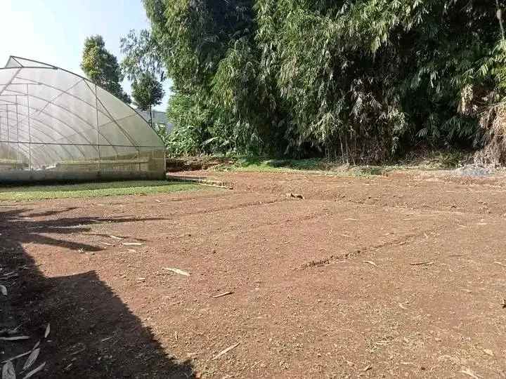 tanah kebun hidroponik investasi kebun sayuran bogor