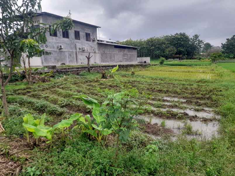 tanah kebun rata dan strategis