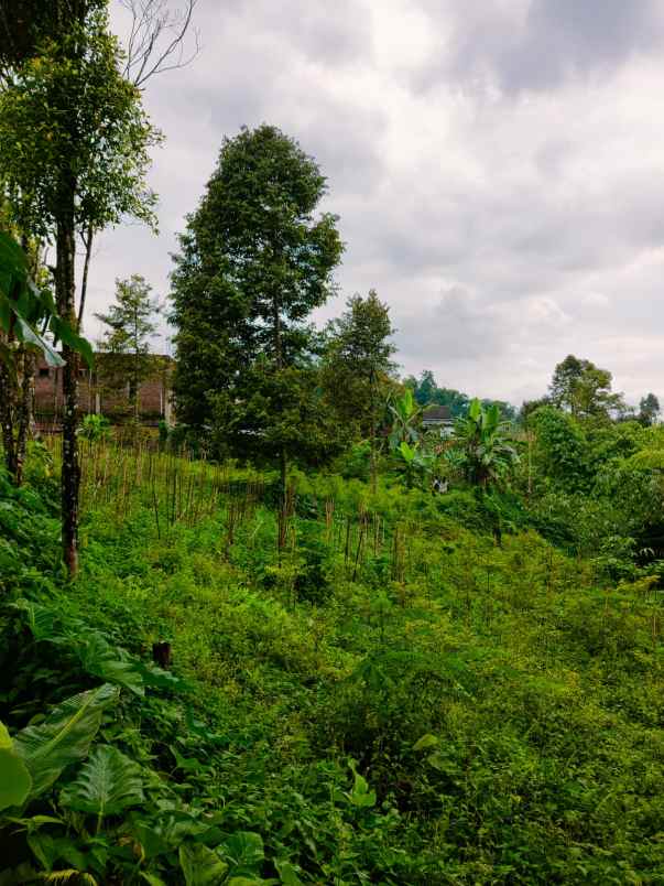 tanah kota wisata ngargoyoso