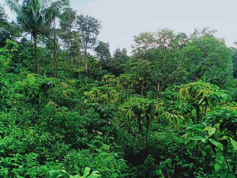 tanah kota wisata ngargoyoso