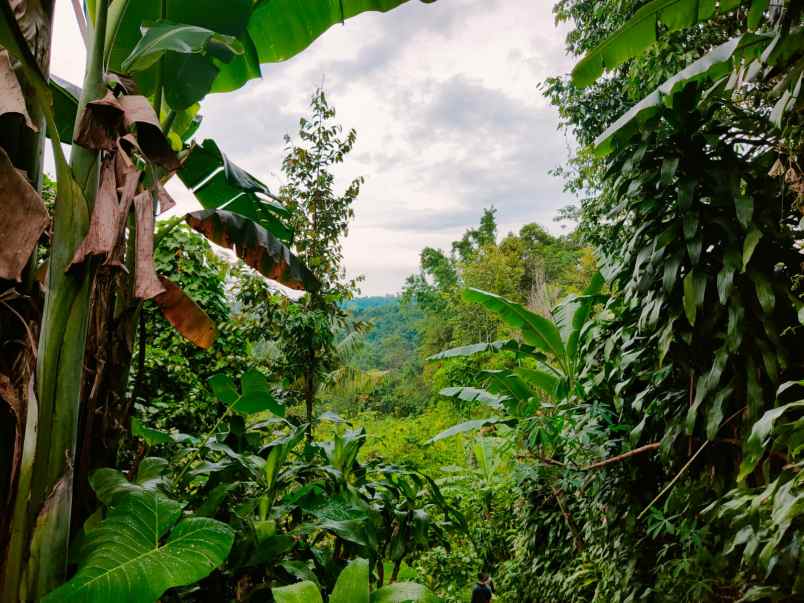 tanah kota wisata ngargoyoso