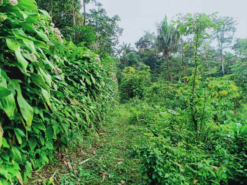 tanah kota wisata ngargoyoso