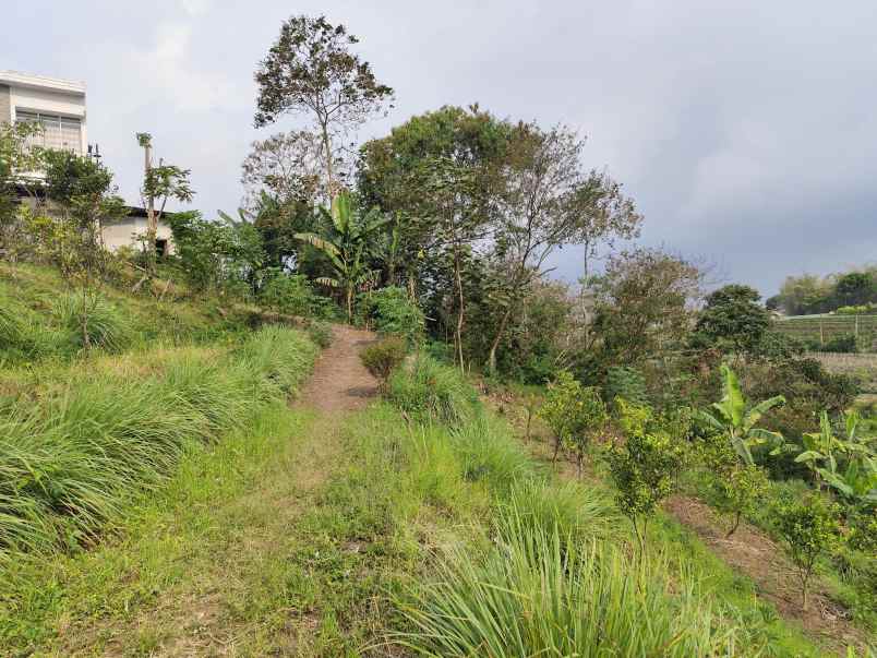 tanah luas dan murah harga borongan di temas batu