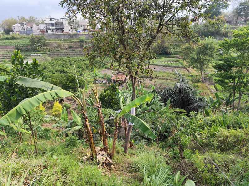 tanah luas dan murah harga borongan di temas batu