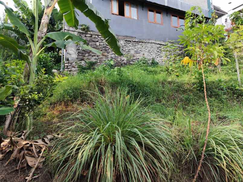 tanah luas dan murah harga borongan di temas batu