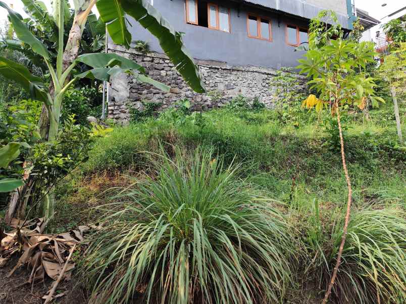 tanah luas dan murah harga borongan di temas batu