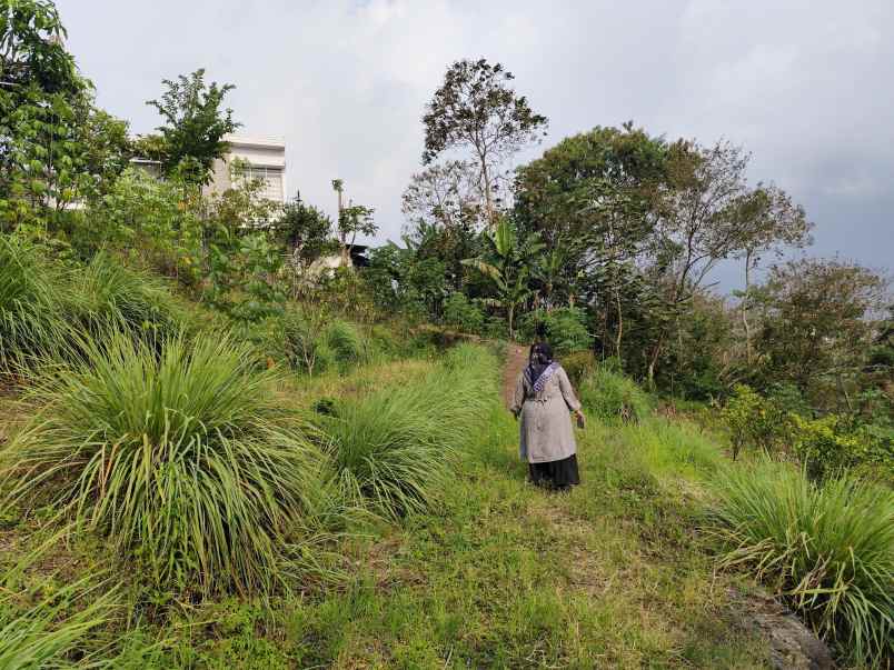 tanah luas dan murah harga borongan di temas batu