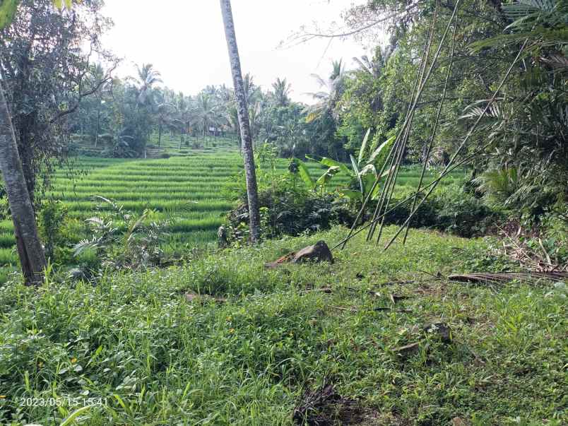 tanah manikyang tabanan bali