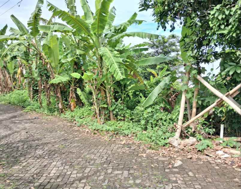 tanah mulawarman tembalang semarang