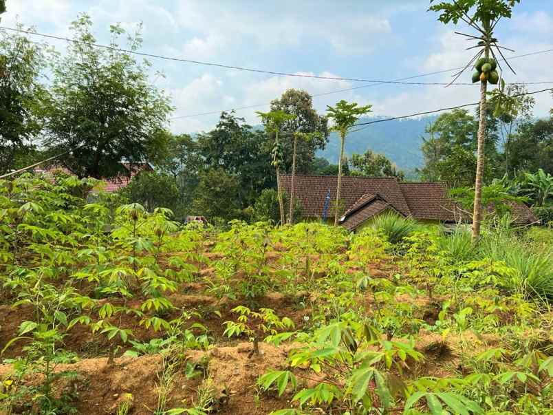 tanah murah 200 juta kemuning karanganyar