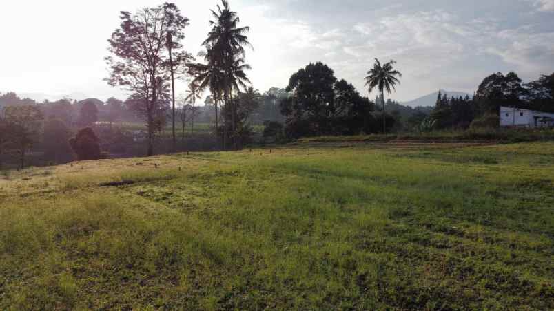 tanah murah puncak megamendung bogor