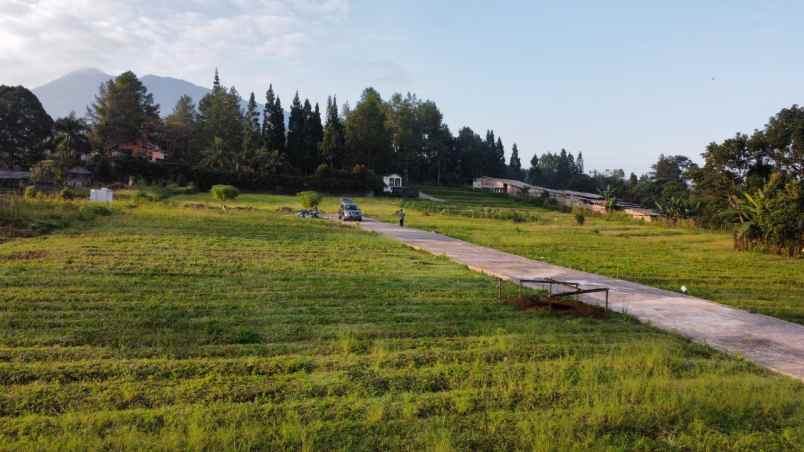 tanah murah puncak megamendung bogor