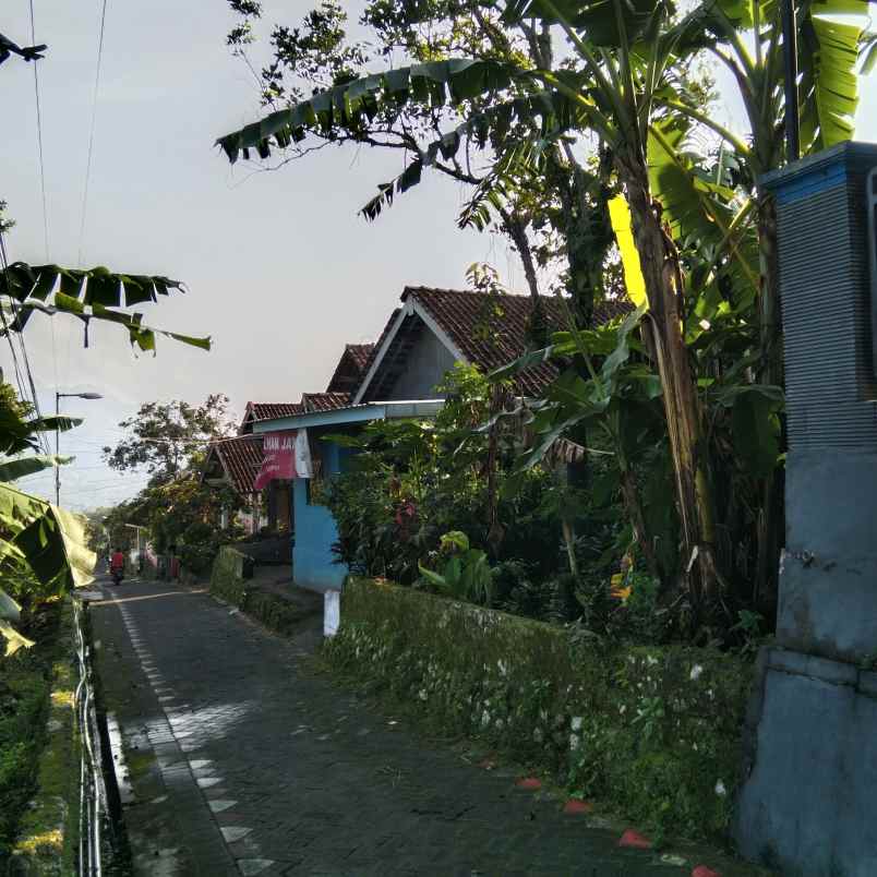 tanah pekarangan desa kesiman trawas