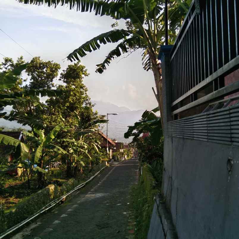 tanah pekarangan desa kesiman trawas