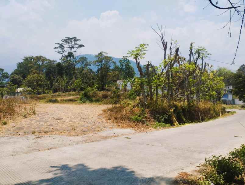 tanah pekarangan trawas depan caf suwon camp