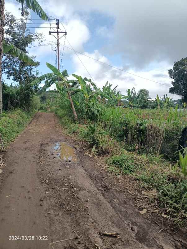 tanah perkebunan 3 kilometer dari munduk moding bali