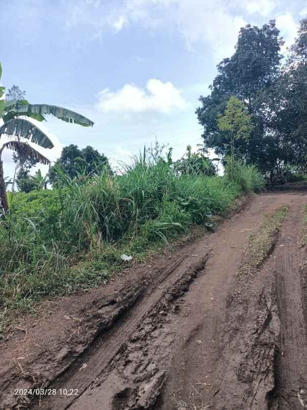 tanah perkebunan 3 kilometer dari munduk moding bali