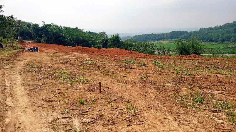 tanah perkebunan dijual di bogor timur