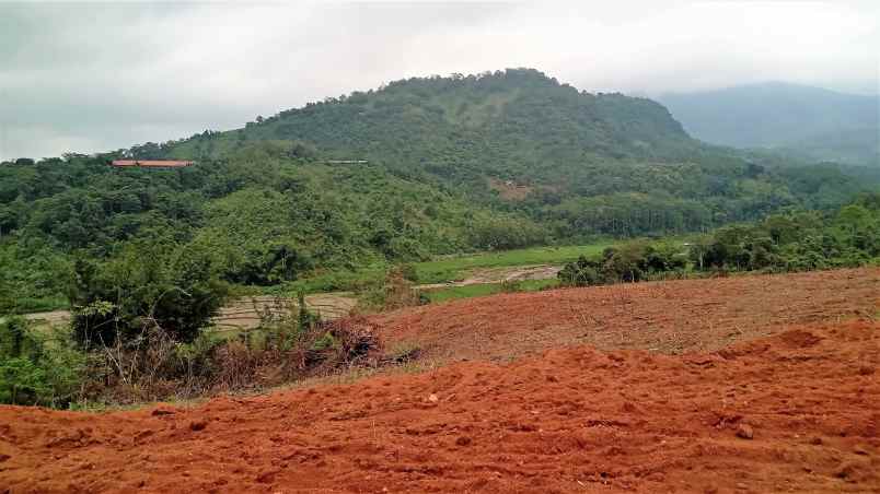 tanah perkebunan dijual di bogor timur