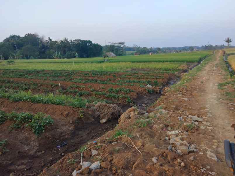 tanah sawah view gunung dijual